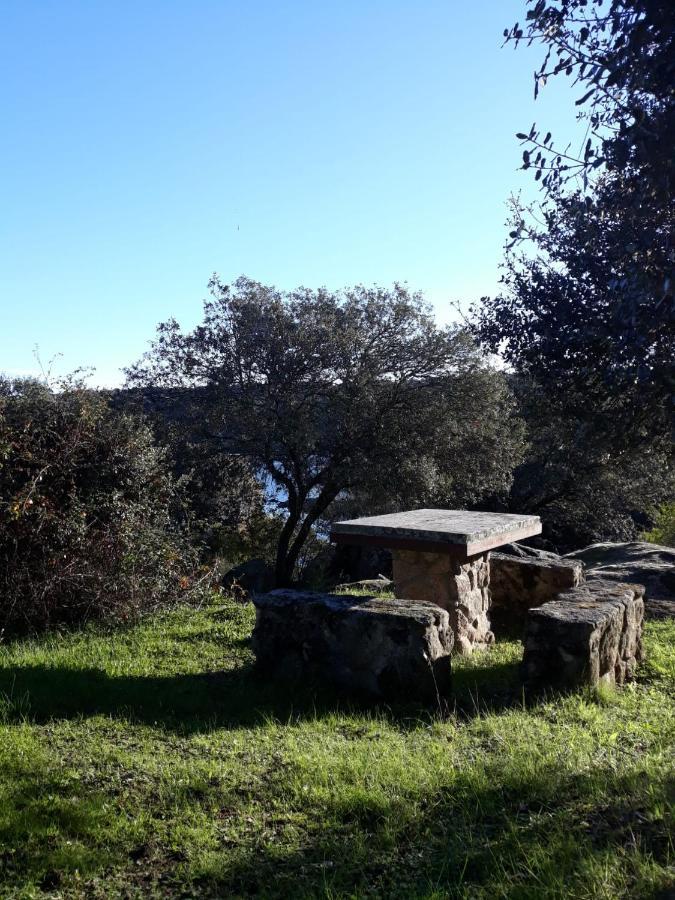 Hostal Alagón Natura