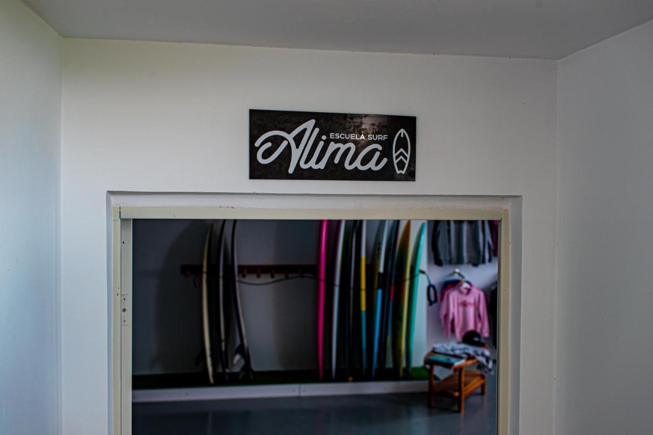 Alima Surf &