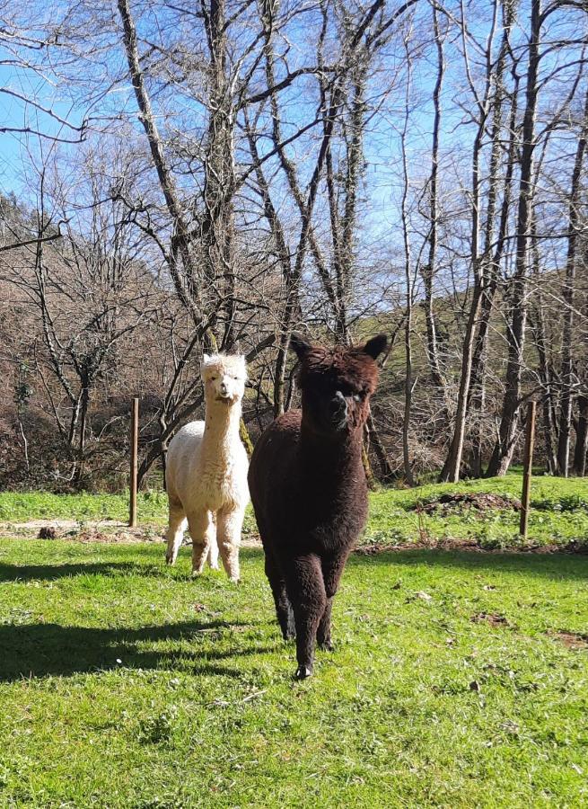 Pet Friendly El Molino De Cantabria Inn Entrambasaguas (Entrambasaguas)