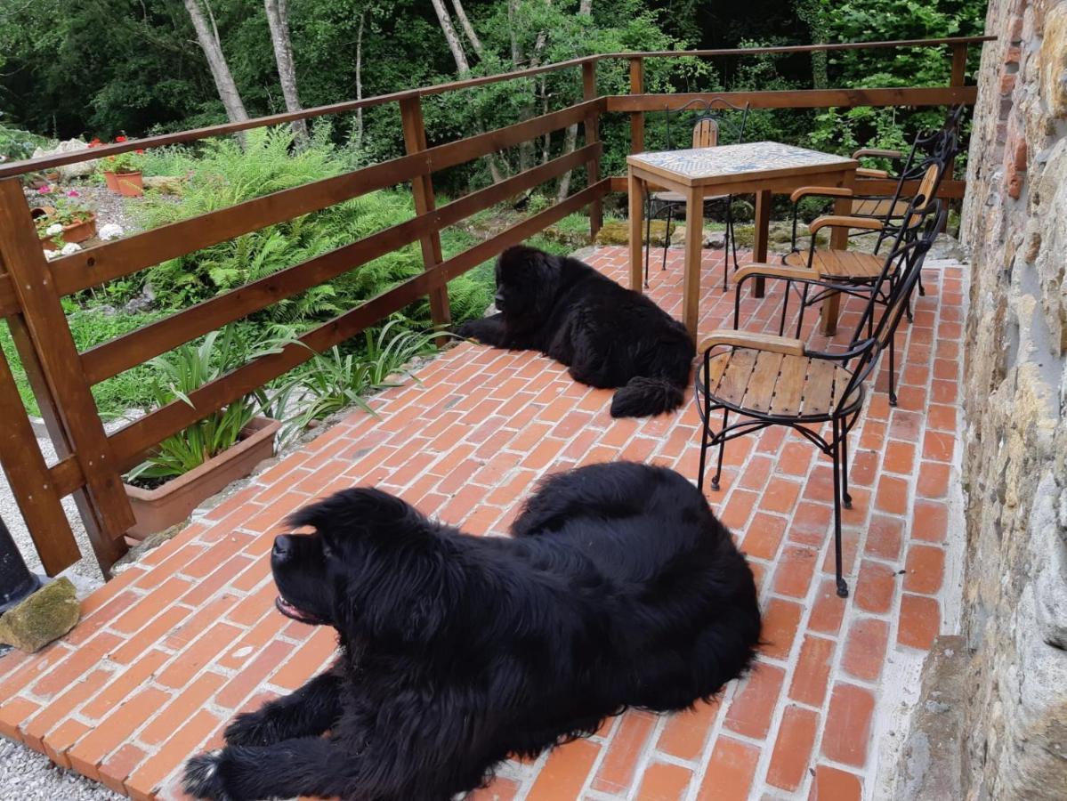 Pet Friendly El Molino De Cantabria