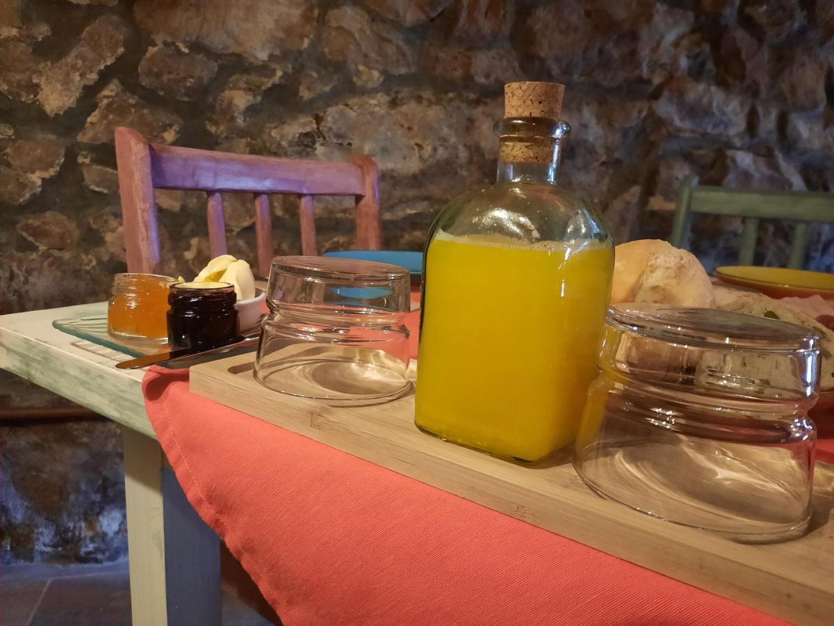 Inn Pet Friendly El Molino De Cantabria Entrambasaguas (Entrambasaguas)