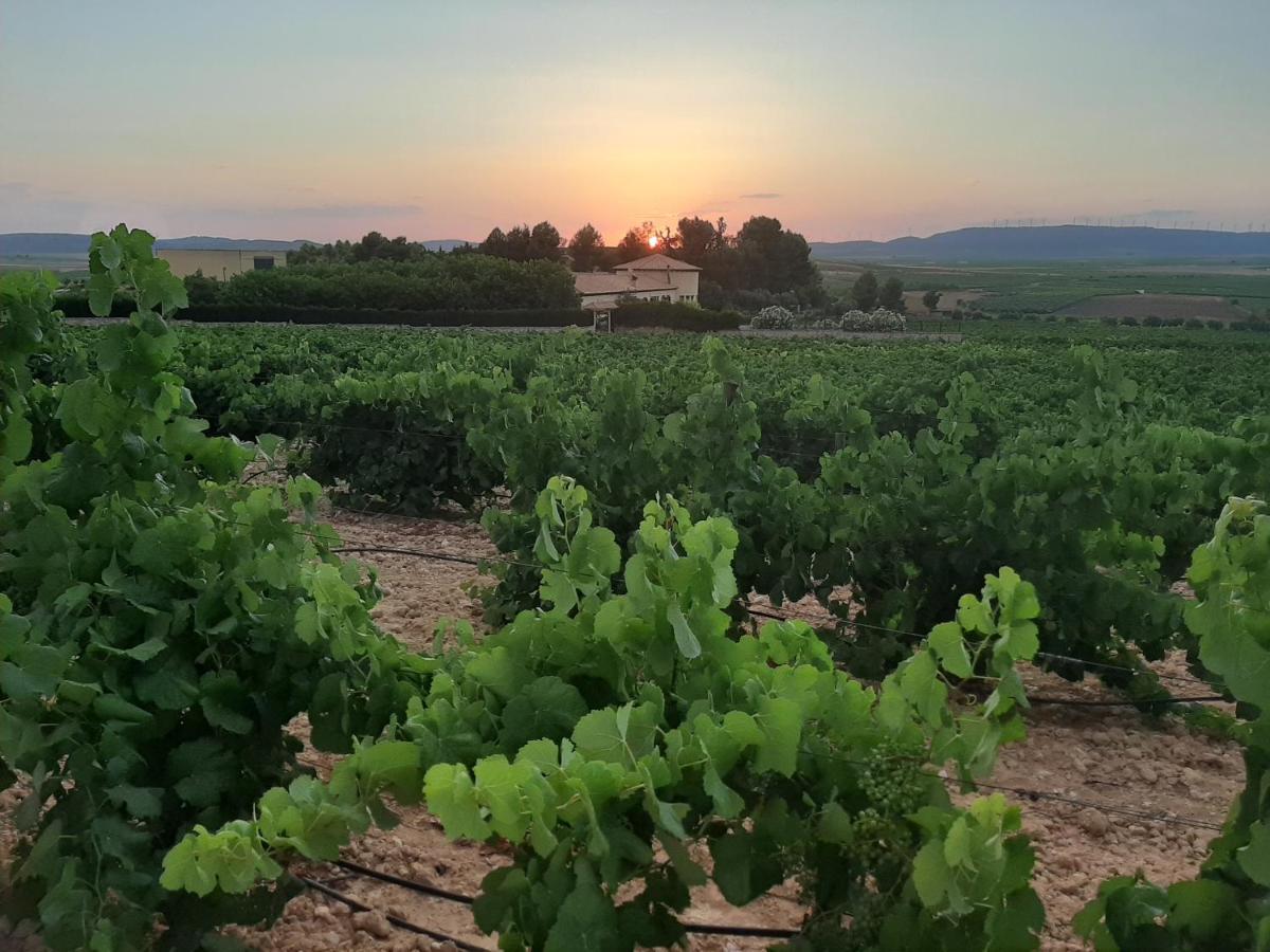 Enoturismo Mainetes Hotel Fuente-Alamo (Castilla-La Mancha)