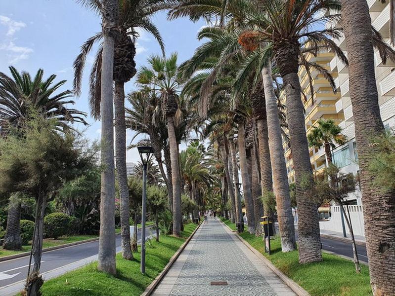 Apartamento Recién Renovado, Con Parking