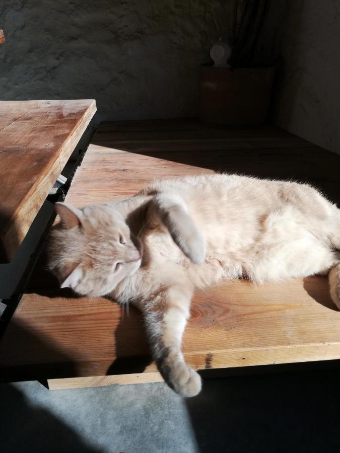 Bed & Breakfast Mas Del Llop Blanc - Dog Friendly Rural - Sobrestany