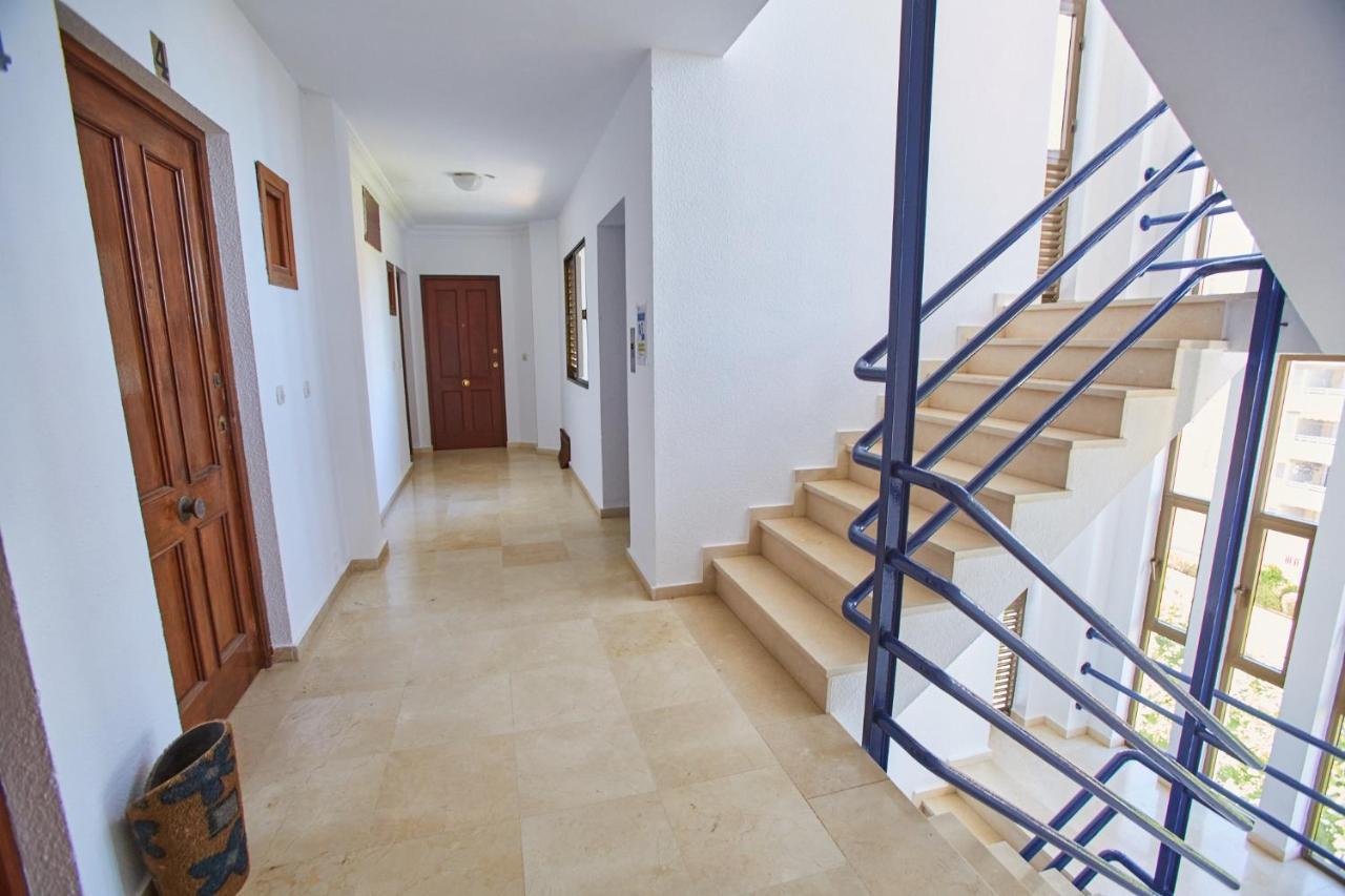 Vistazul 402