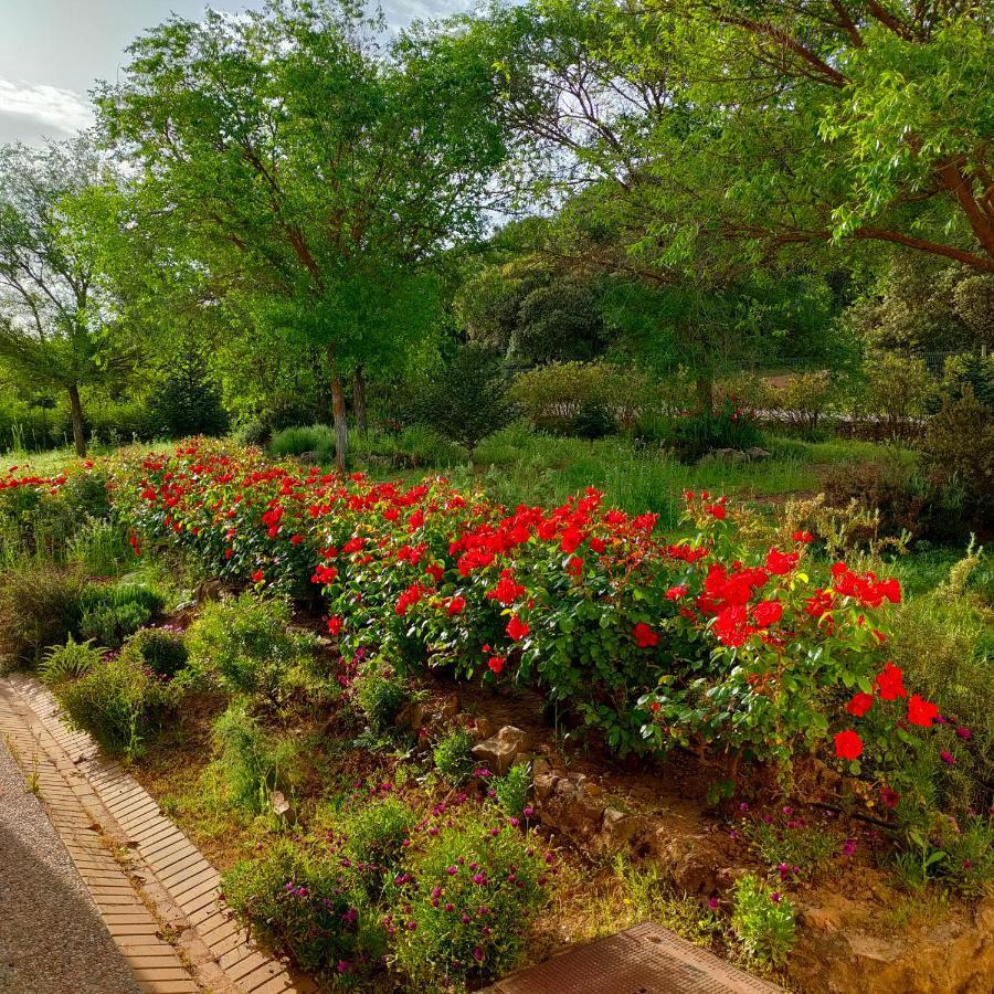 Rural Carlos Astorga