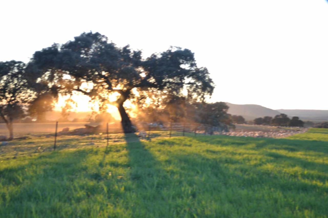 El Vizconde Naturaleza Con Tus Hijos Holiday home