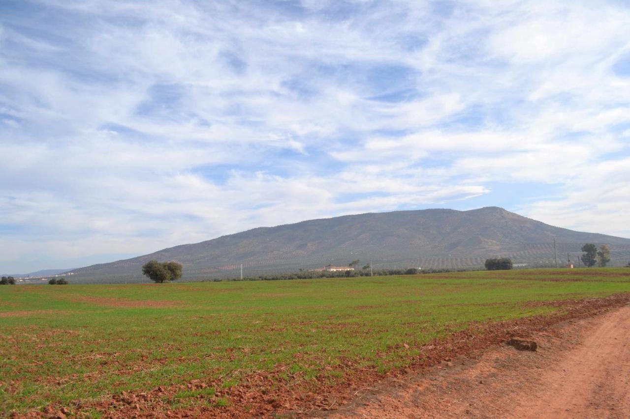 El Vizconde Naturaleza Con Tus Hijos