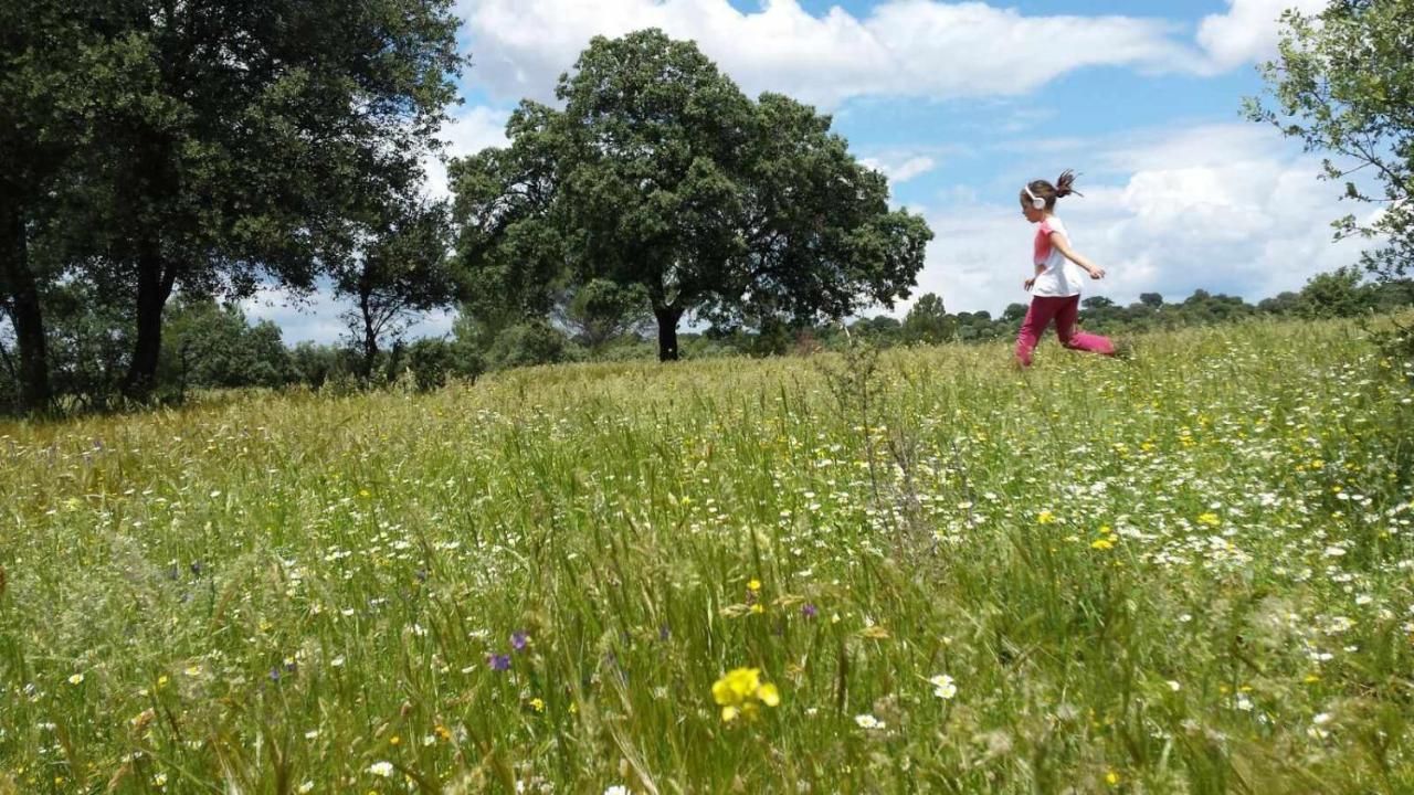 El Vizconde Naturaleza Con Tus Hijos