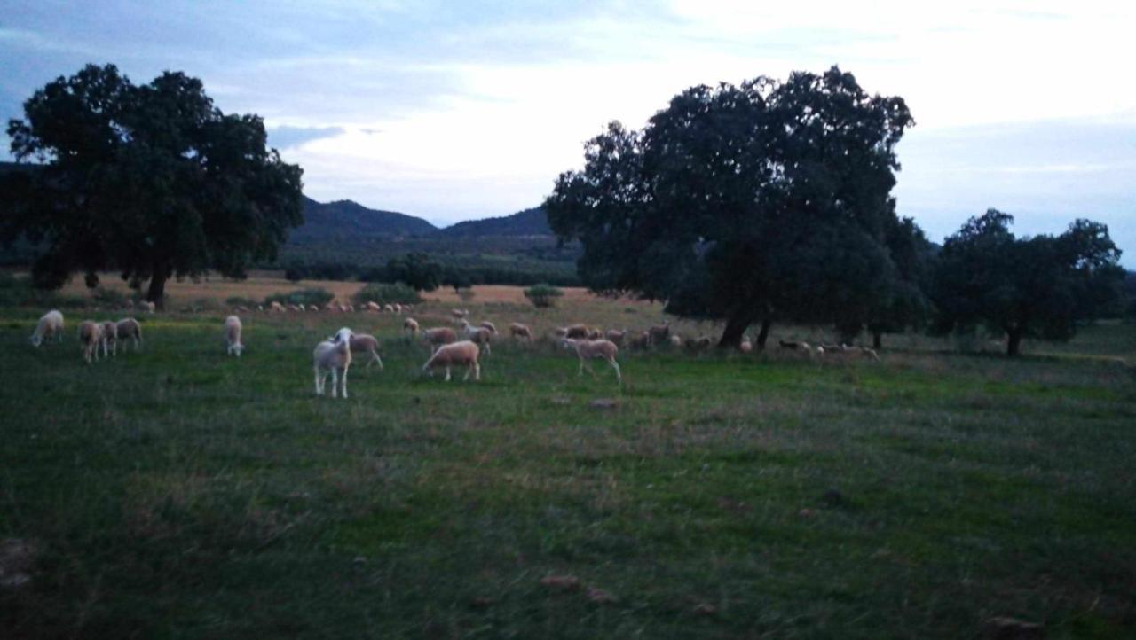 Holiday home El Vizconde Naturaleza Con Tus Hijos