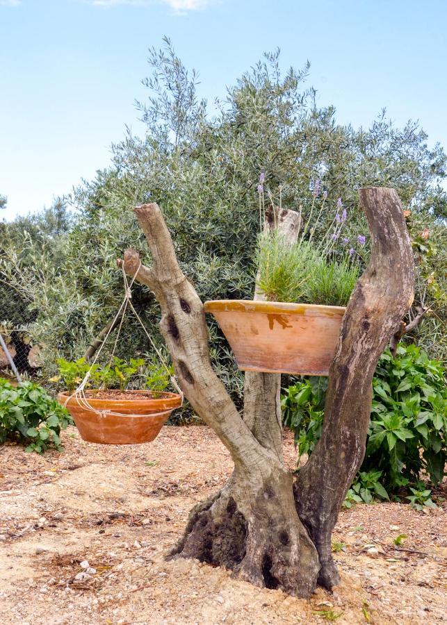 El Tejar Viejo Casa rural