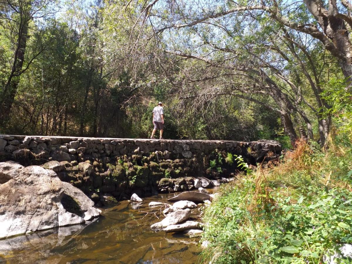 Olivos De Robledo De Chavela Holiday home