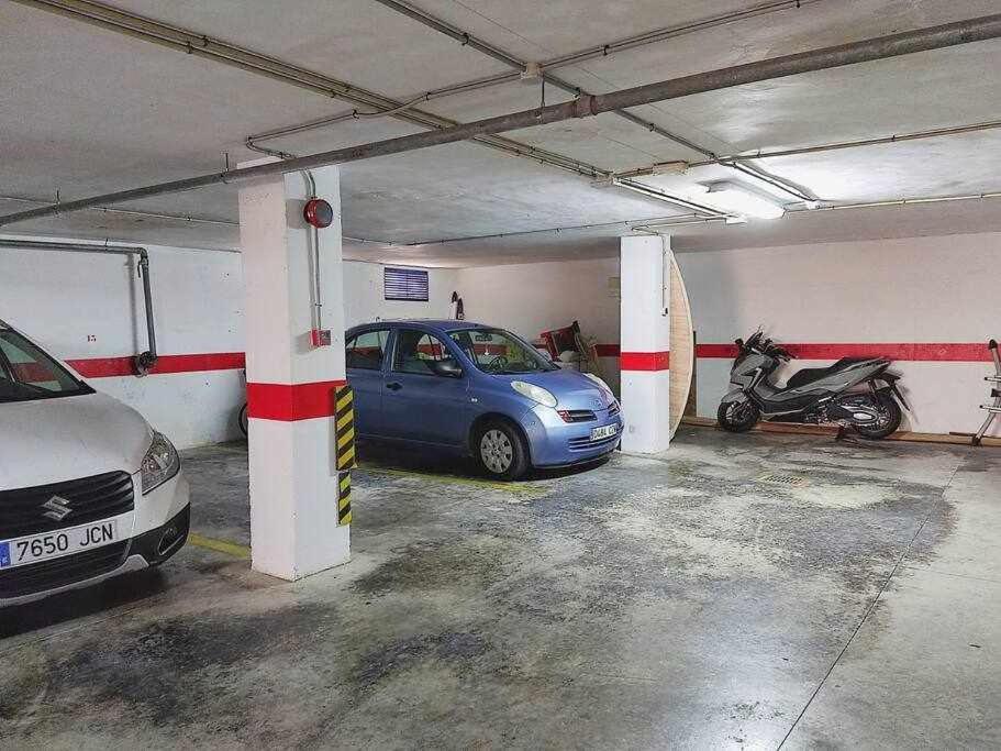 Aloe A 200m Playa Residencia Familiarperrossí El Campello