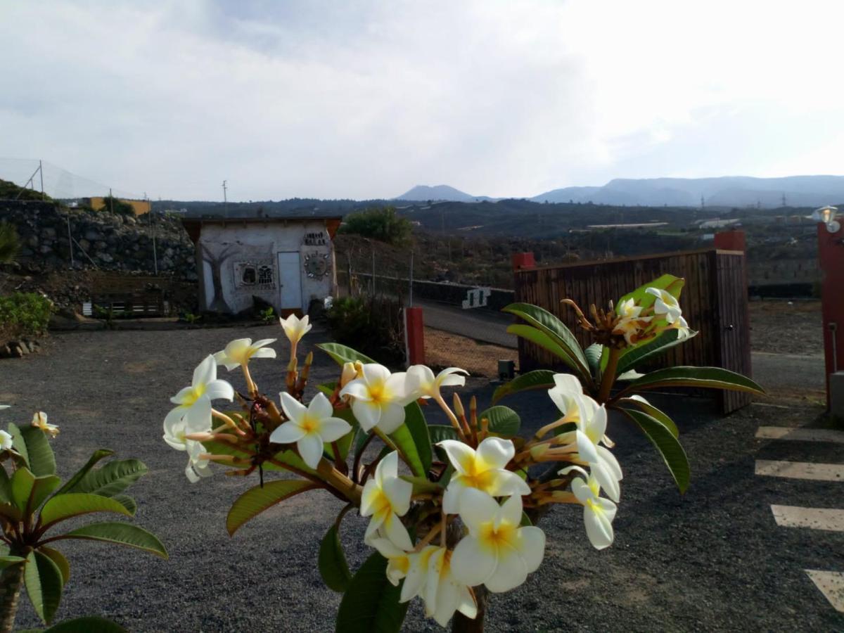 Eco Camping Nueva Vida Country house Chio (Tenerife)