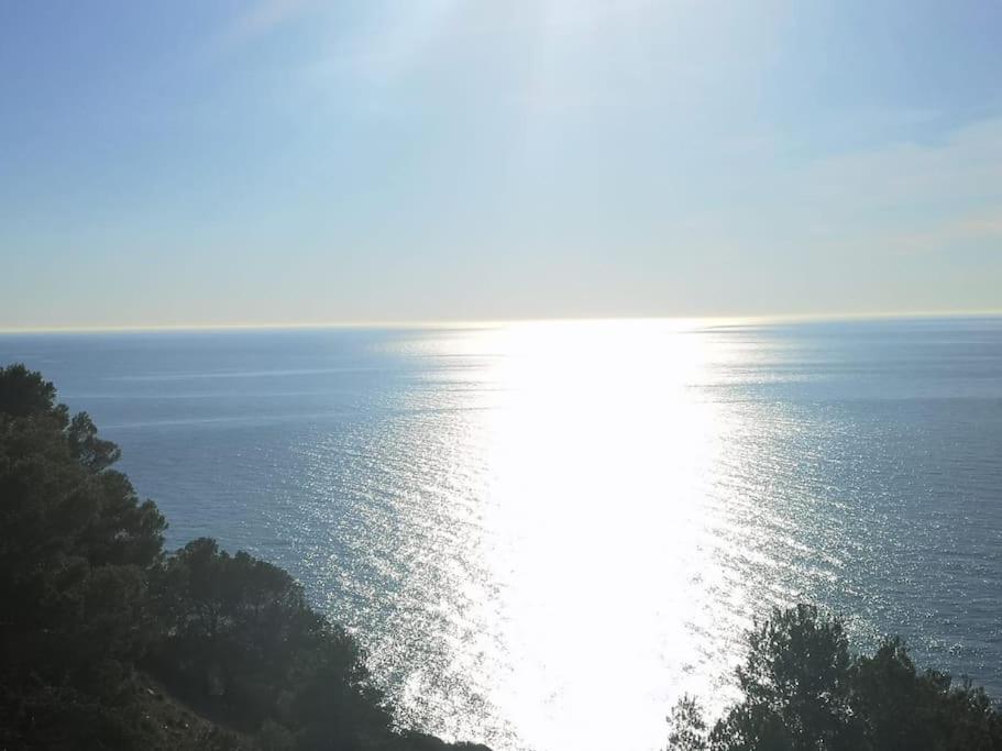 Casa En Urb. Con La Piscina Más Grande De Jávea. *