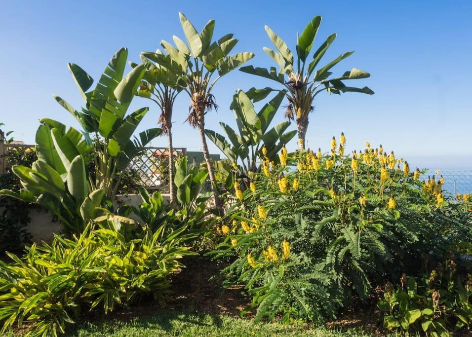 Casa Viña: A Spectacular Away From It Villa La Orotava