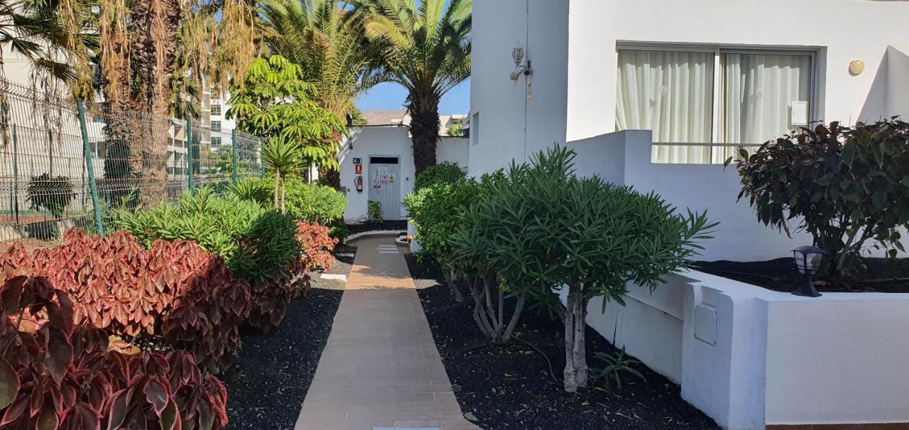 Adults Only Sunny Quiet In Center Of Americas Apartment Arona (Tenerife)