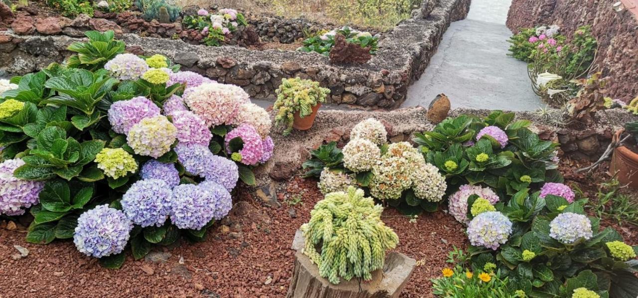 Apartamento Cactus