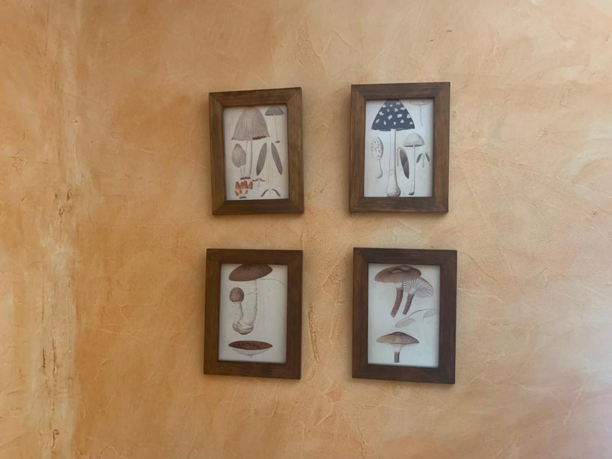 Casa Del Plantel * San Ildefonso