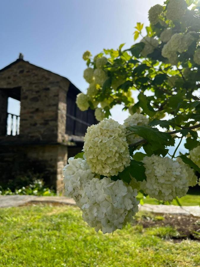 Complejo Rural Lar De Vies Country house