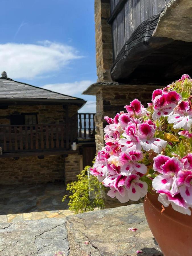 Complejo Rural Lar De Vies Country house *