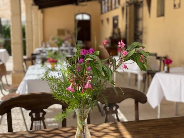 Inn Zinc Mutxamel (Muchamiel)