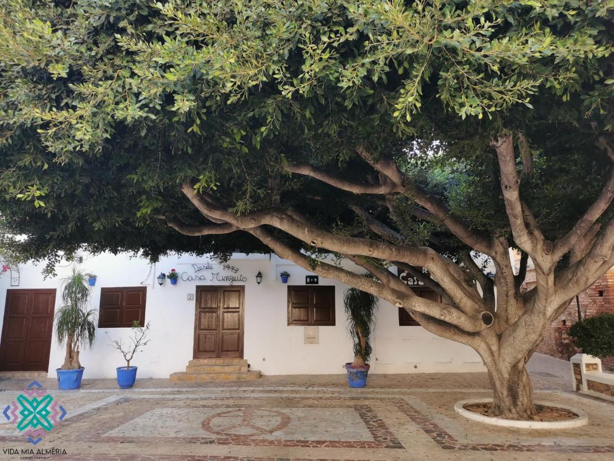 Vida Mia Almeria Apartment