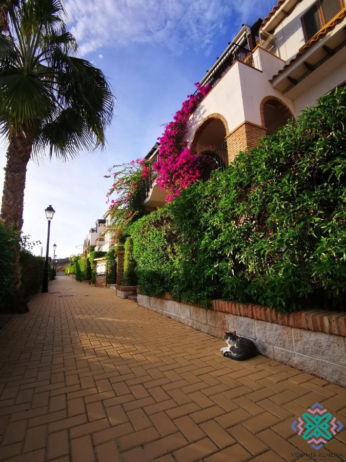 Vida Mia Almeria