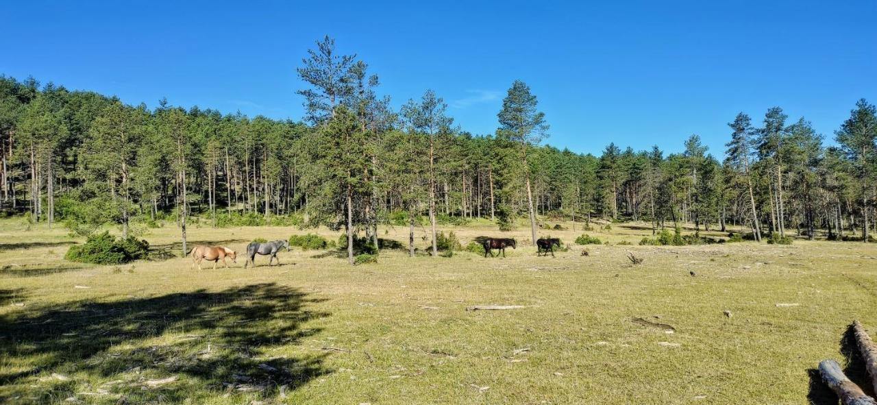 Rural Hacheros Сasa de vacaciones *