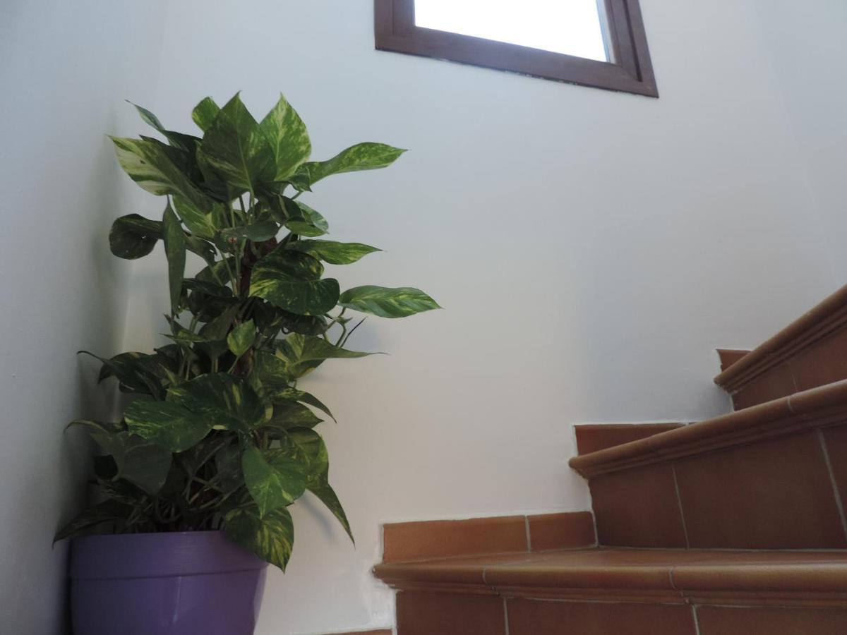 Holiday home Casa Ana Macharaviaya