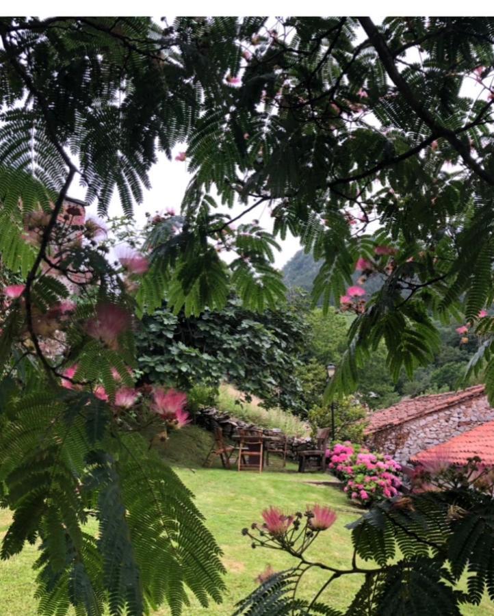 Hdec De Castaneda Turistico Holiday home *