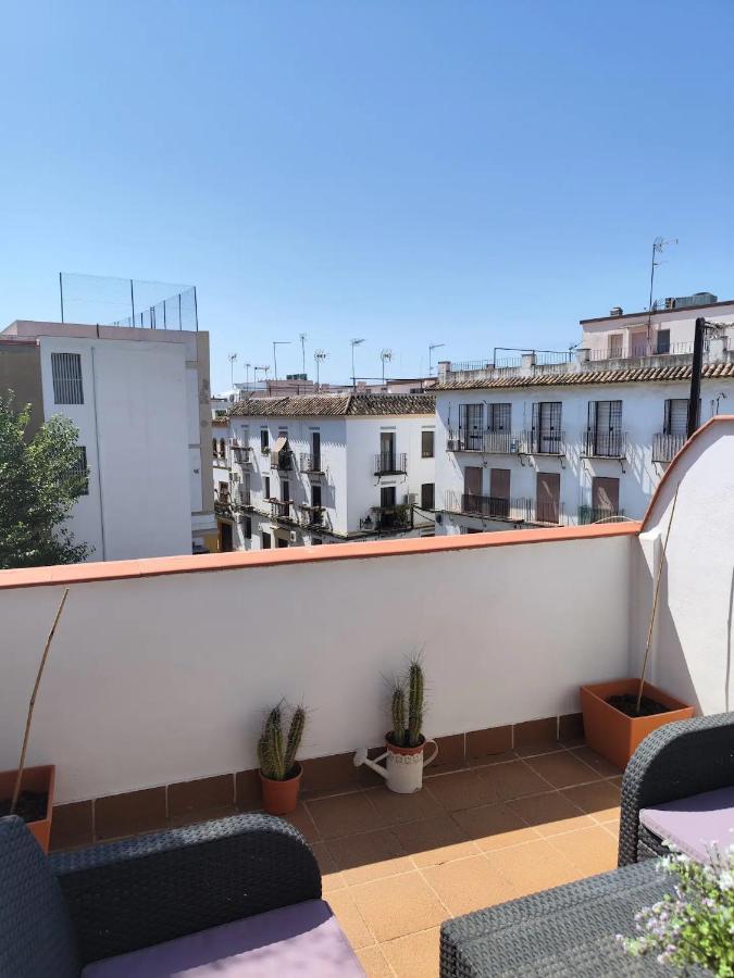 Apartment Atico San Andres *