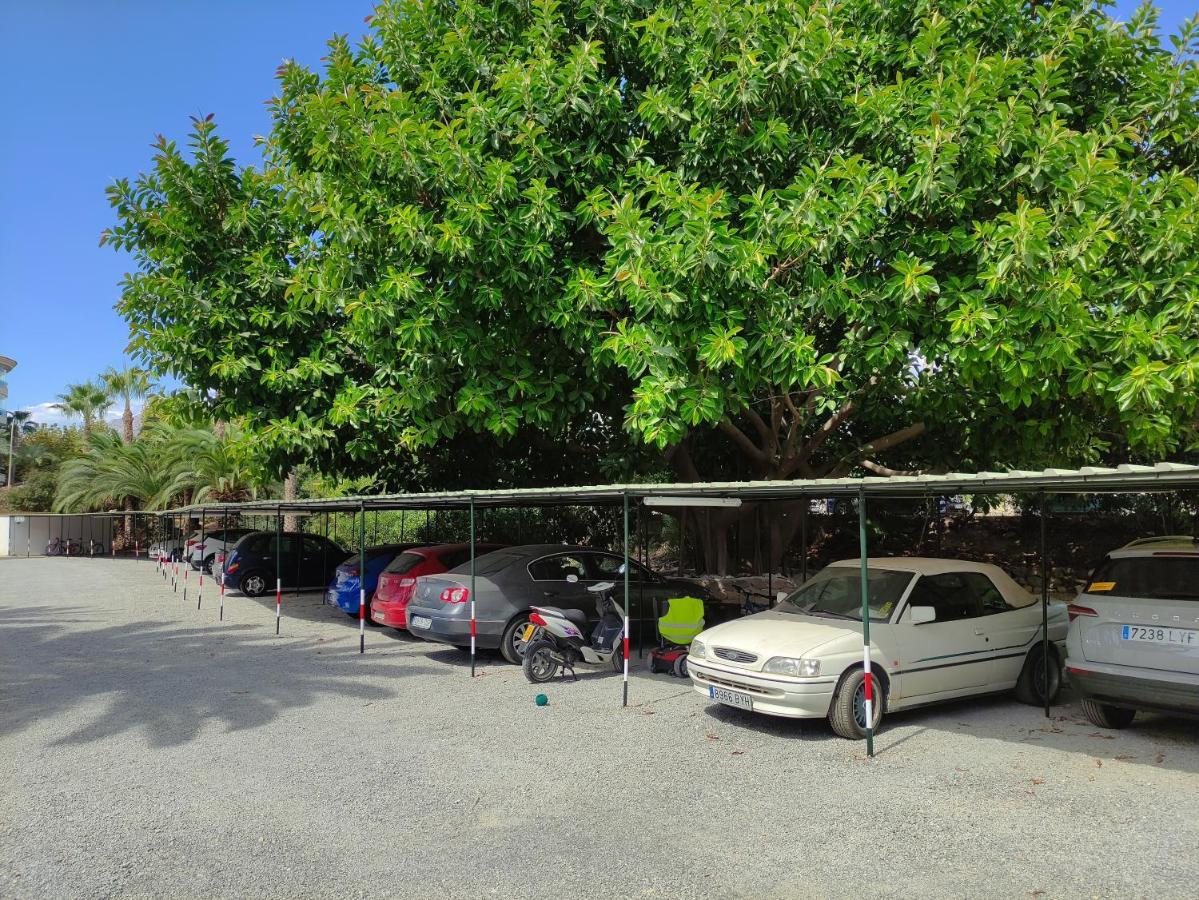 Apartment Albir Cosy
