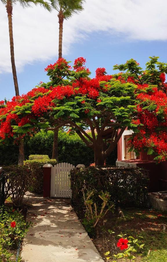 Holiday home Maspalomas Treasure *