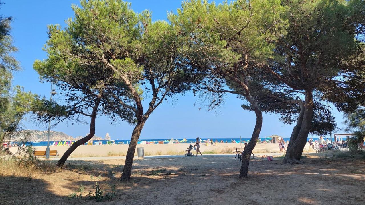 Apartamento Primera Línea Y Vistas Al Mar Con Piscina *m* L'Estartit
