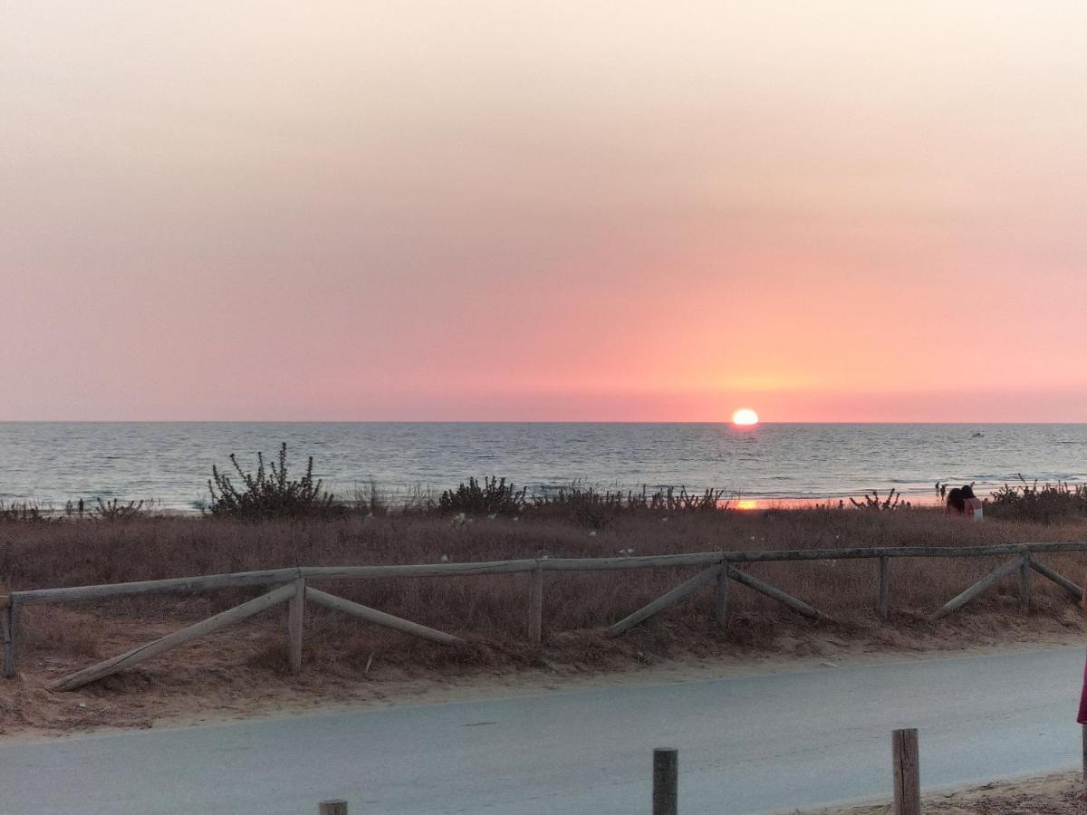 Apartment Flamenco Playa *