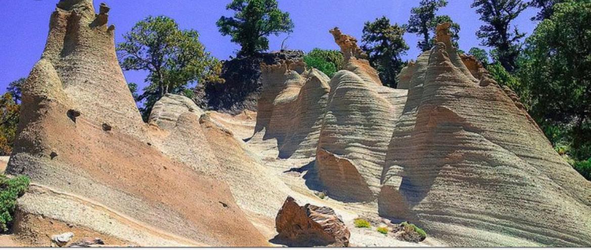 For Nature Lovers *