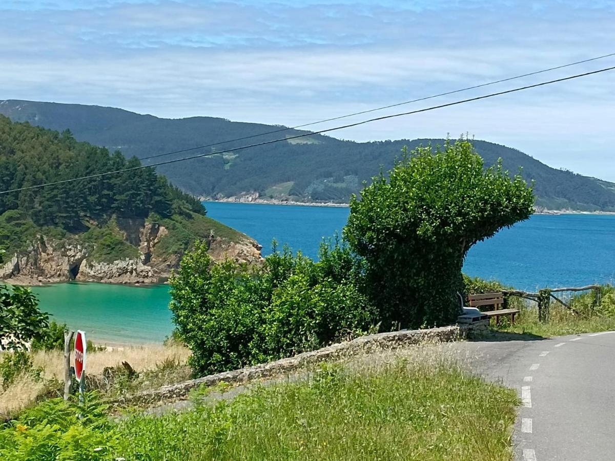 Xilloi O Vicedo