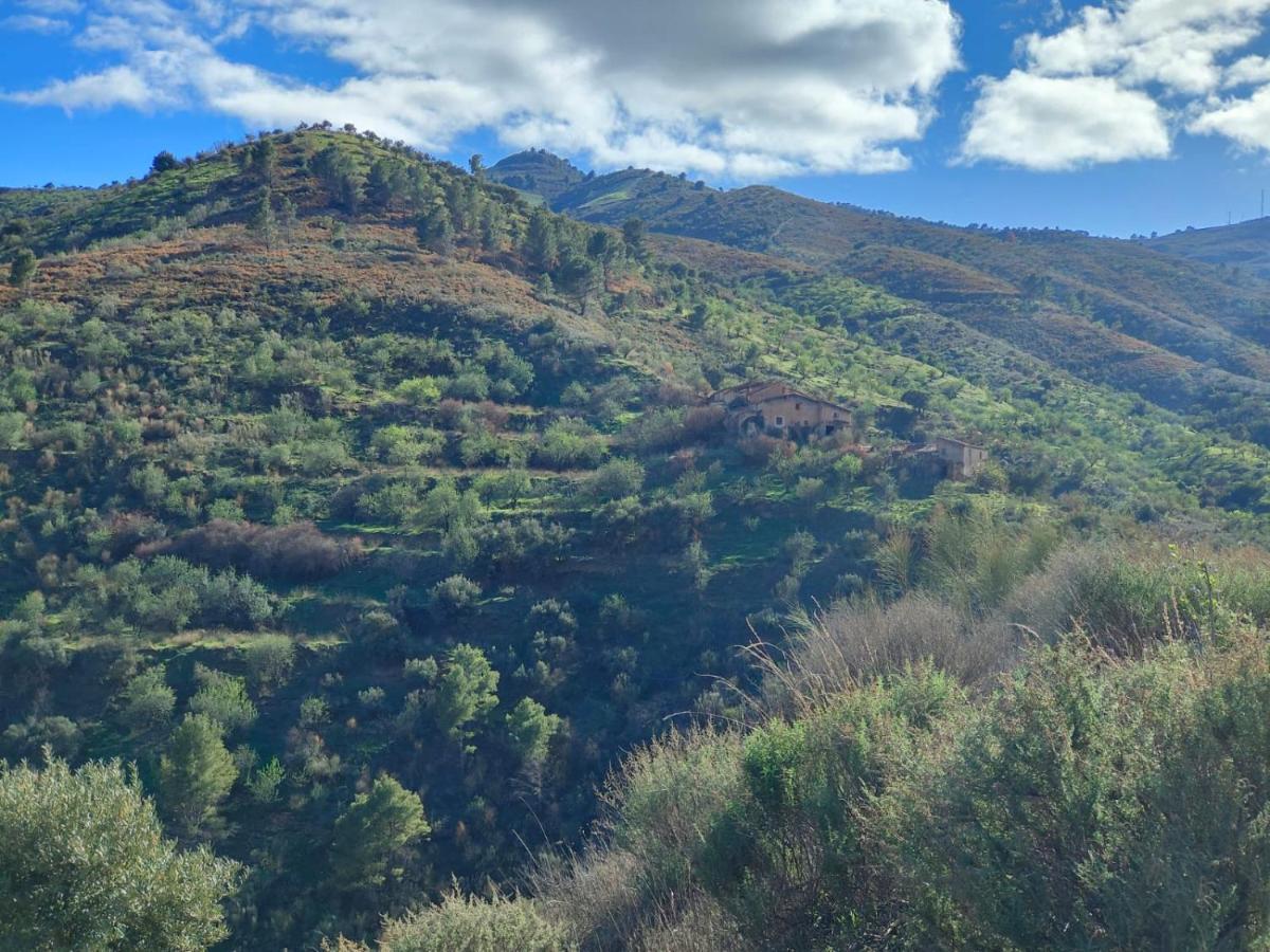 Bed and breakfast Cortijo Vacas Gordas Castell de Ferro