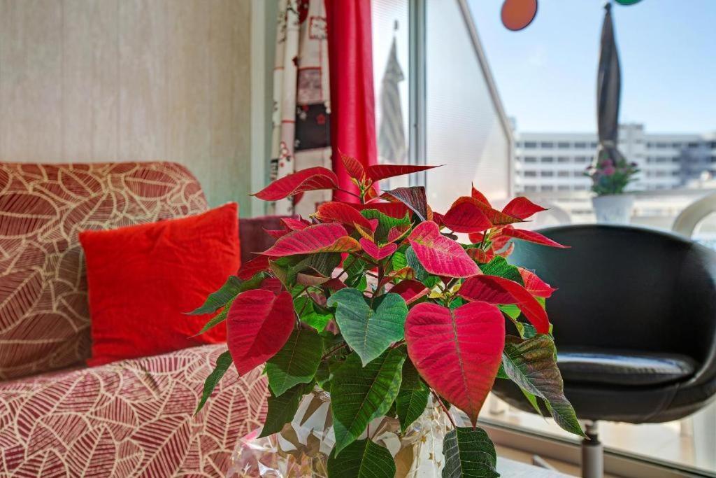 Apartment Elefantes House *