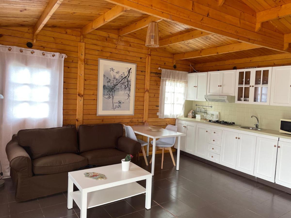Agradable Mini Casa De Madera Con Jardín Amplio