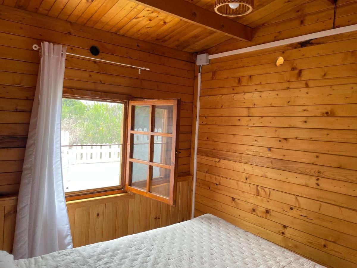 Agradable Mini Casa De Madera Con Jardín Amplio Chalet