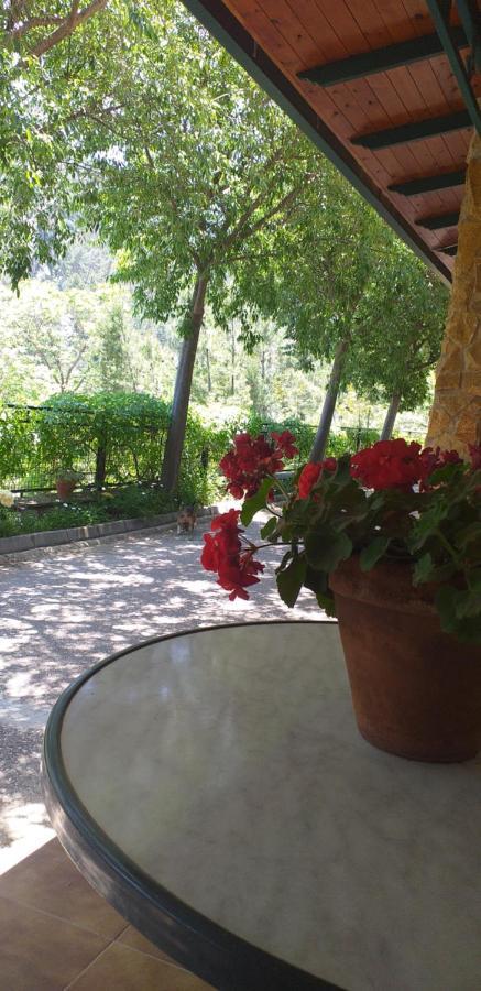 Cortijo El Cercadillo Casa rural Bedmar y Garciez