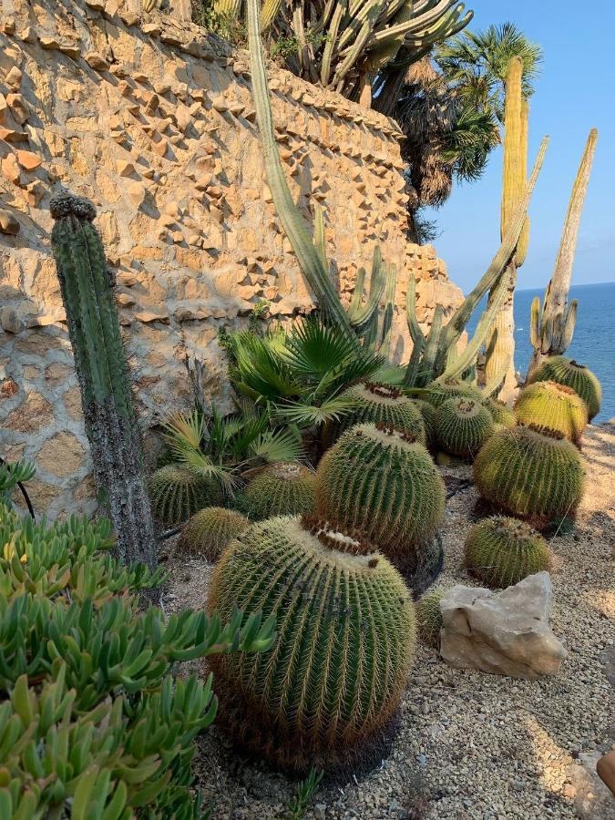 El Jardin Botanico Luz * Altea