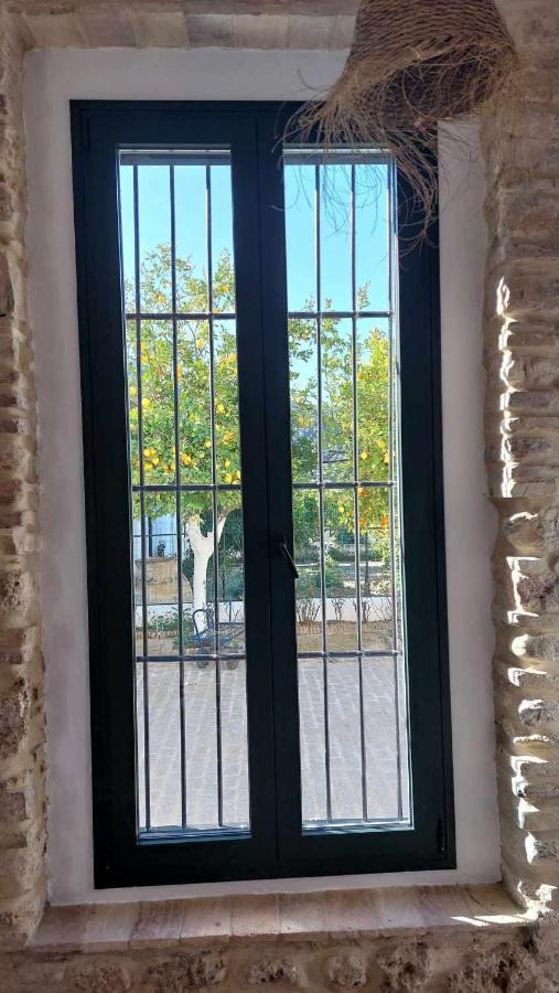 Rosas De Santa Ana