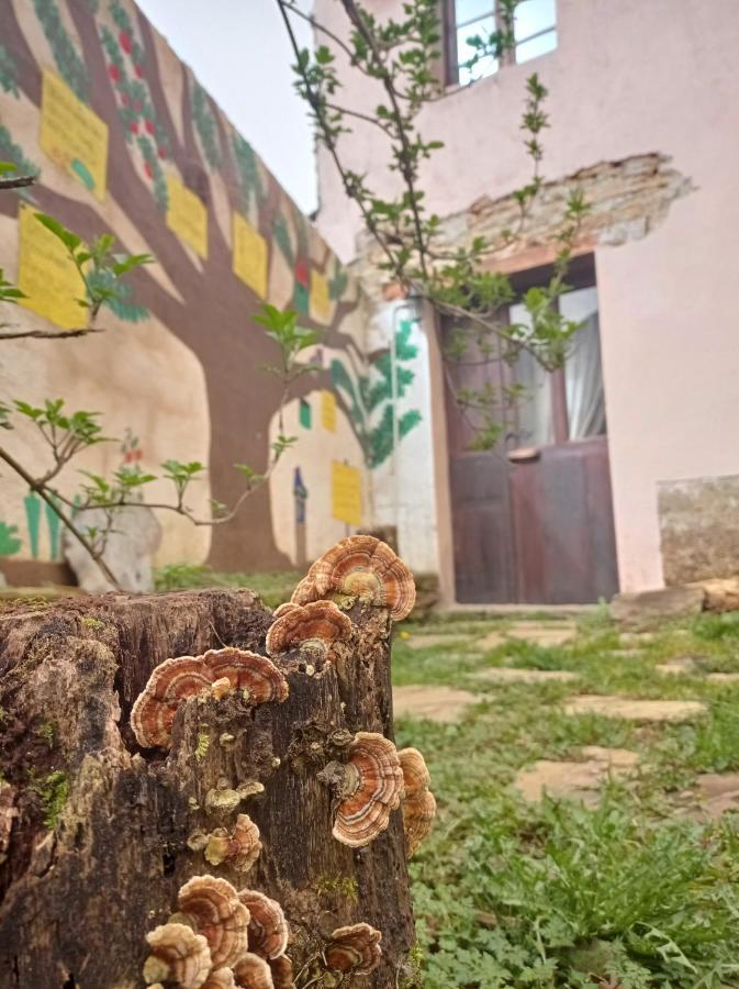 Eco El Beso - Vegano * Triacastela