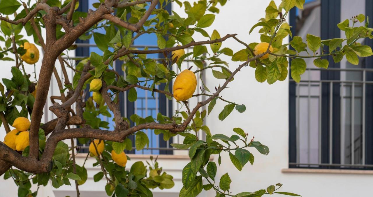Opuntia Boutique Hotel Mijas