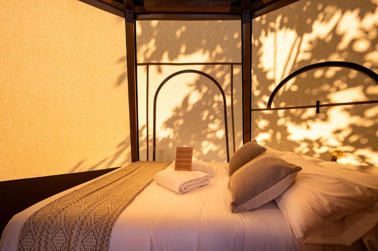 Talaia Plaza Ecoresort Resort