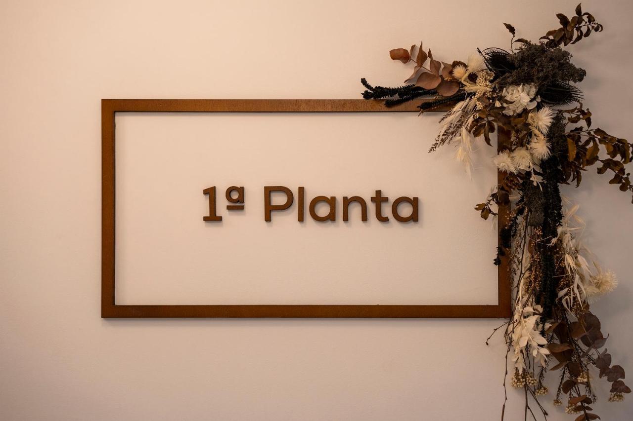 Apartment Palatina Concept