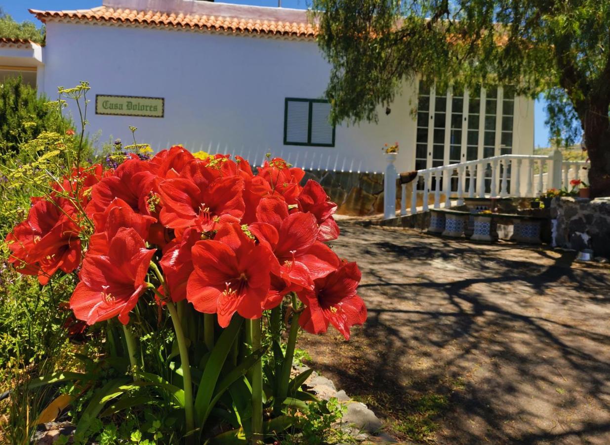 Сasa de vacaciones Dolores Con Piscina Y Vistas A La Gomera Costa Adeje (Tenerife)